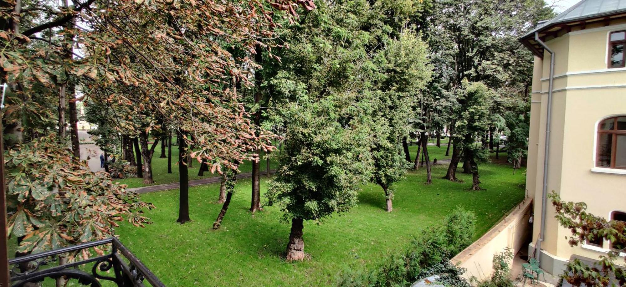 Casa Cu Bolta Iasi